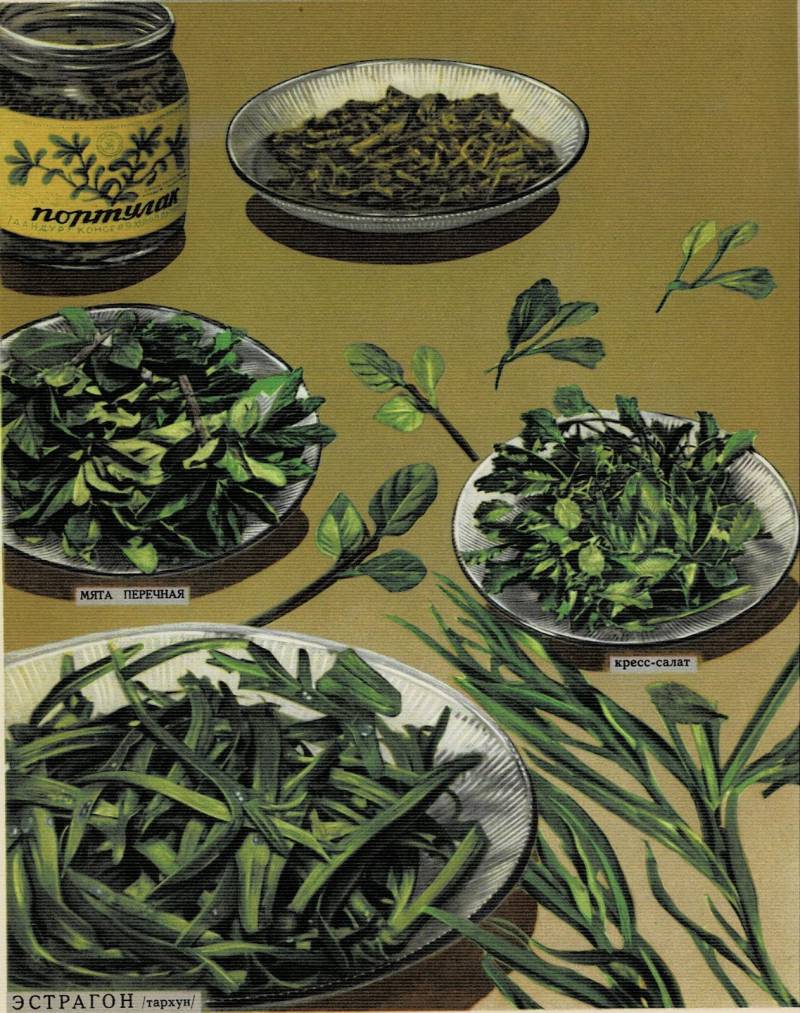 Как это было в СССР. Вкус нашего детства 