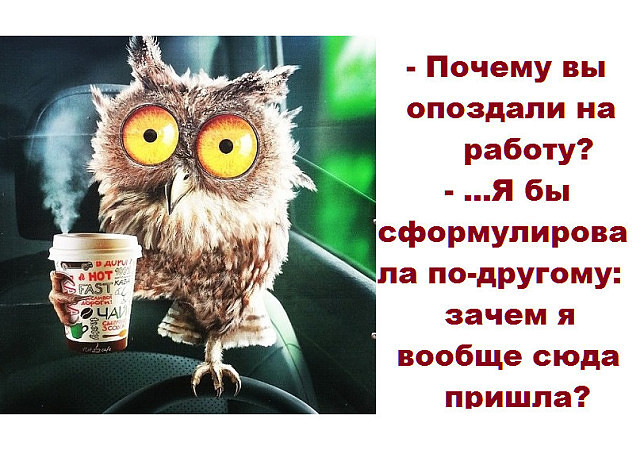 Парень познакомился с девушкой на дискотеке. После привел ее к себе домой… Юмор,картинки приколы,приколы,приколы 2019,приколы про