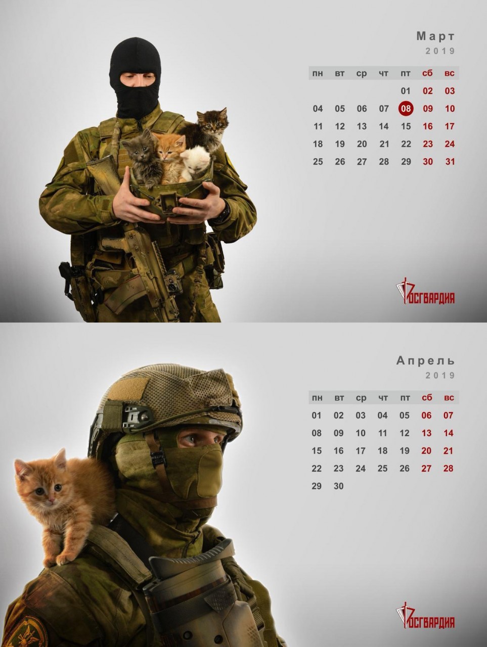 Календарь от Росгвардии с котиками