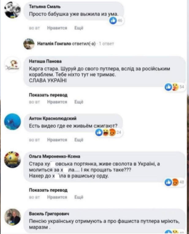 О всех ли бабушках подумал Юрий Шевчук? геополитика,История,общество,Политика