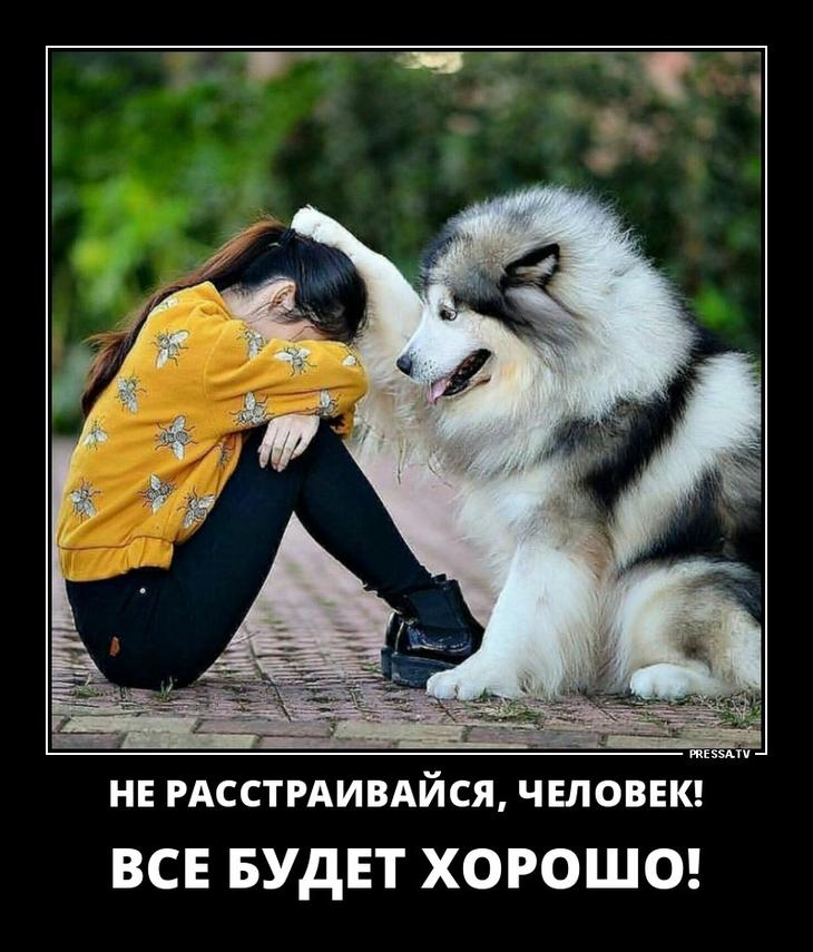 ������� ����� � ����