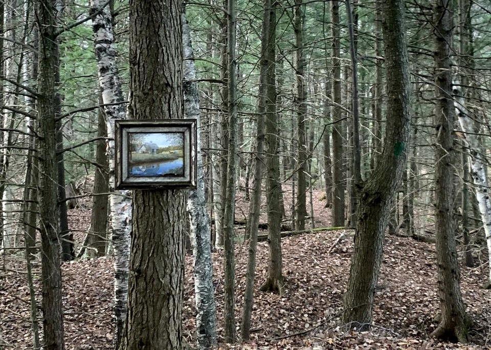 Unusual find. Окаменелости кораллы. Прикольные фото в лесу. Авокадо на спиле дерева. Unusual find.