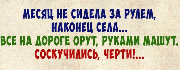 Уморительные аперитивчики, которые поднимут Вам настроение 