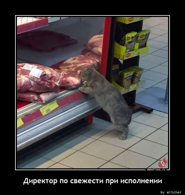 Свежая порция демотиваторов: «Кто крайний?» 