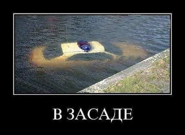 Очередная коллекция отличных демотиваторов, которые вызовут улыбку и сделают день позитивным! 