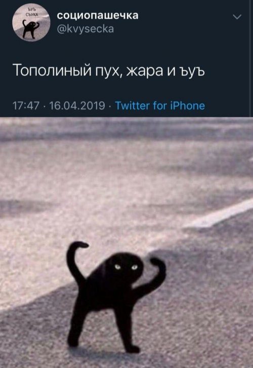 Прикольные картинки на каждый день!!! Прикольные картинки на каждый день!!! смешные картинки