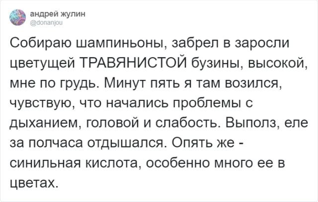 Вещи из жизни, которые вполне могут вас убить истории из жизни,картинки