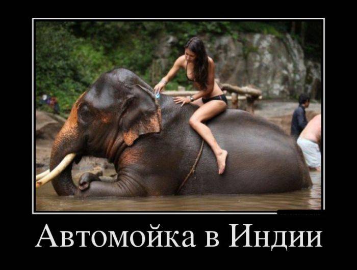 Забавные, веселые и смешные демотиваторы из нашей жизни демотиваторы свежие,смешные демотиваторы