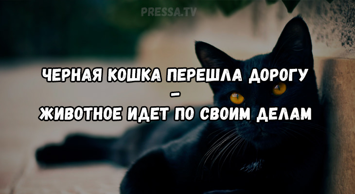 Объясняем народные приметы 