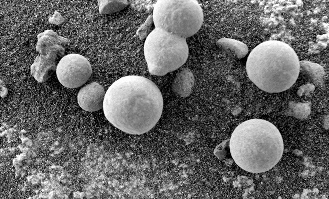 Камеры ровера засняли на Марсе объекты, похожие на земные грибы Культура