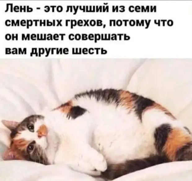 Как говорит отец: - Чтоб вам зубы так же лечили, как вы дороги ремонтируете! Как говорит отец: - Чтоб вам зубы так же лечили, как вы дороги ремонтируете! такой, семье, девушка, бросает, нашей, снова, глаза, говорит, смотрит, кушай, открывает, лежит, понравится, такая, мужчина, сегодня, правила, чтобы, подходит, господин