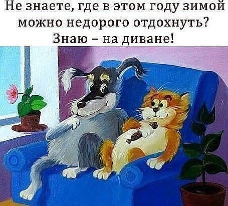 Подборка интересных и веселых картинок №43 Подборка интересных и веселых картинок №43 отдых