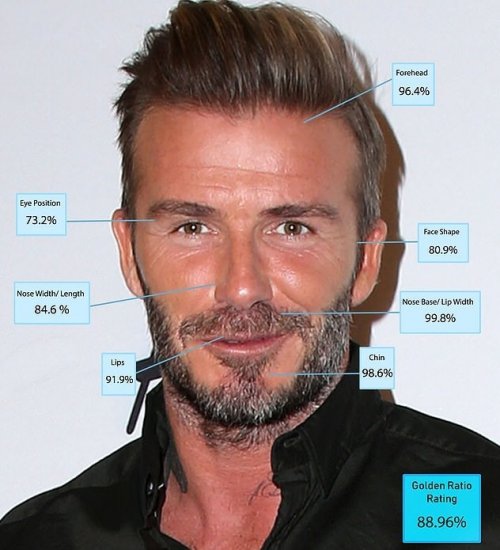 Самые красивые актеры по мнению пластических хирургов Самые красивые актеры по мнению пластических хирургов