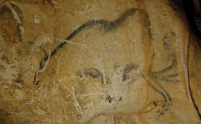 Мамонты в изобразительном искусстве древнего человека мамонт, первобытные люди, рисунки на стенах, палеолит, ледниковый период, пещера, каменный век, длиннопост