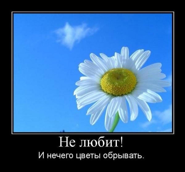 Очередная коллекция отличных демотиваторов, которые вызовут улыбку и сделают день позитивным! 