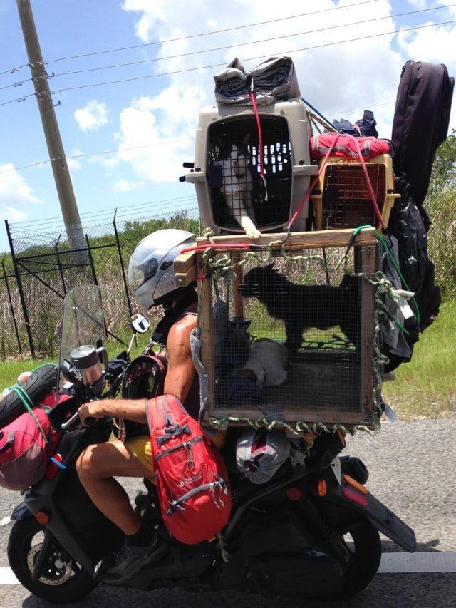 Это можно увидеть в окне своего автомобиля Это можно увидеть в окне своего автомобиля