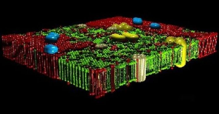10 восхитительных научных открытий о звуке