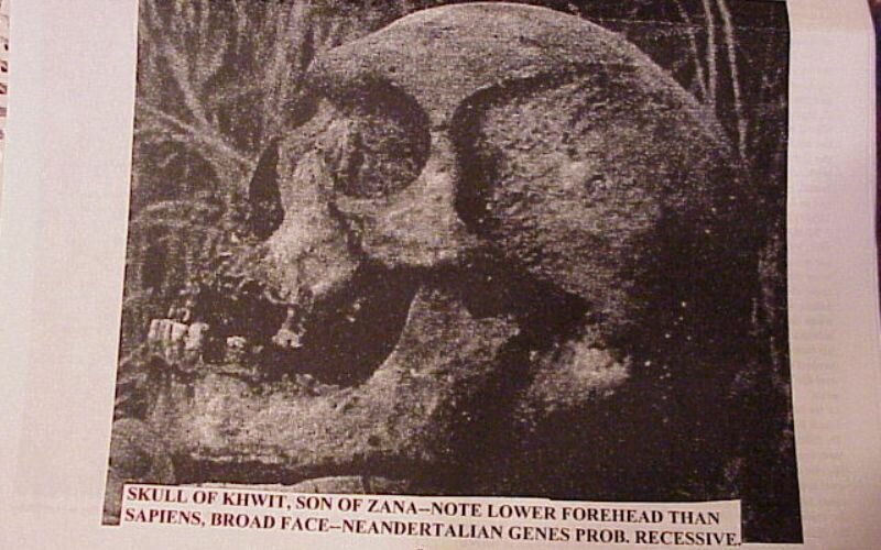 Места, где есть реальный шанс столкнуться со снежным человеком