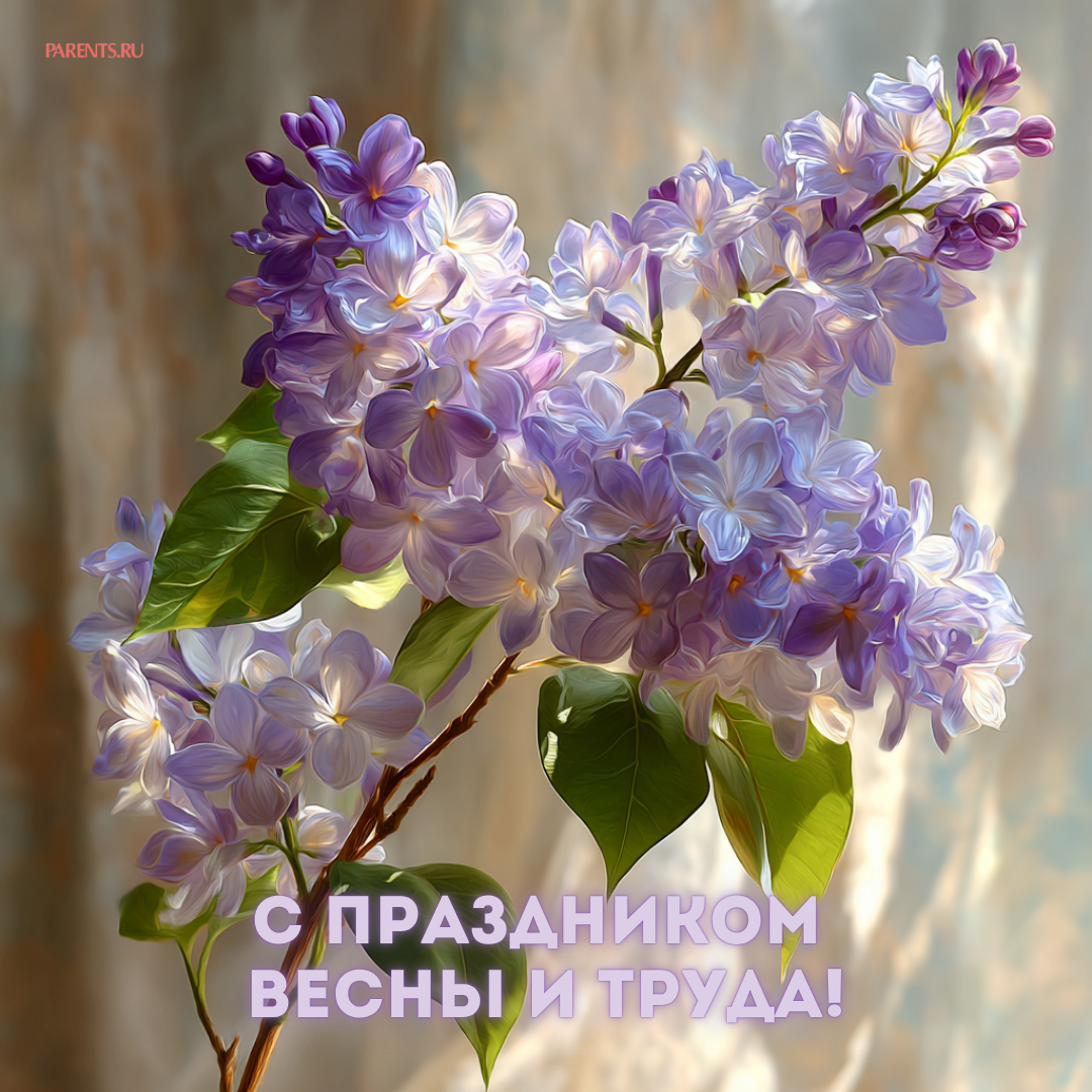 Красивые открытки «С 1 мая» для бабушек, дедушек, мам и пап — в общем, для всех можно, открытки, которые, бесплатно, открыток, Весны, теплее, попрежнему, весныСегодня, приход, ощутить, понастоящему, наконецто, температура, становится, воздуха, поздравлять, весну, только, чествует