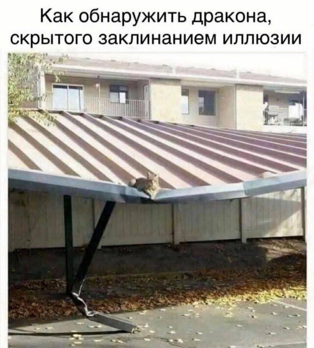 Мемы для отличного настроения 