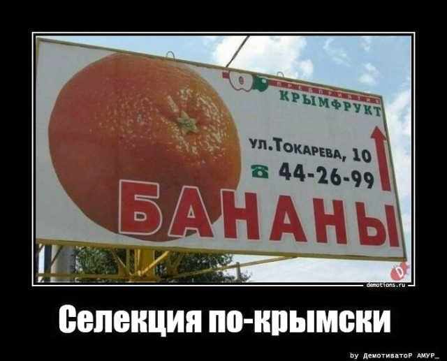 Свежая подборка демотиваторов: «Кто не работает, тот ест» 