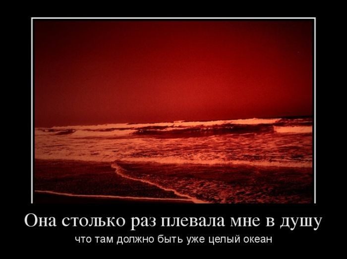 Демотиваторы про женщин прикольных, картинках, прекрасную, половину, человечества                       Источник, httpsmyprikolcom