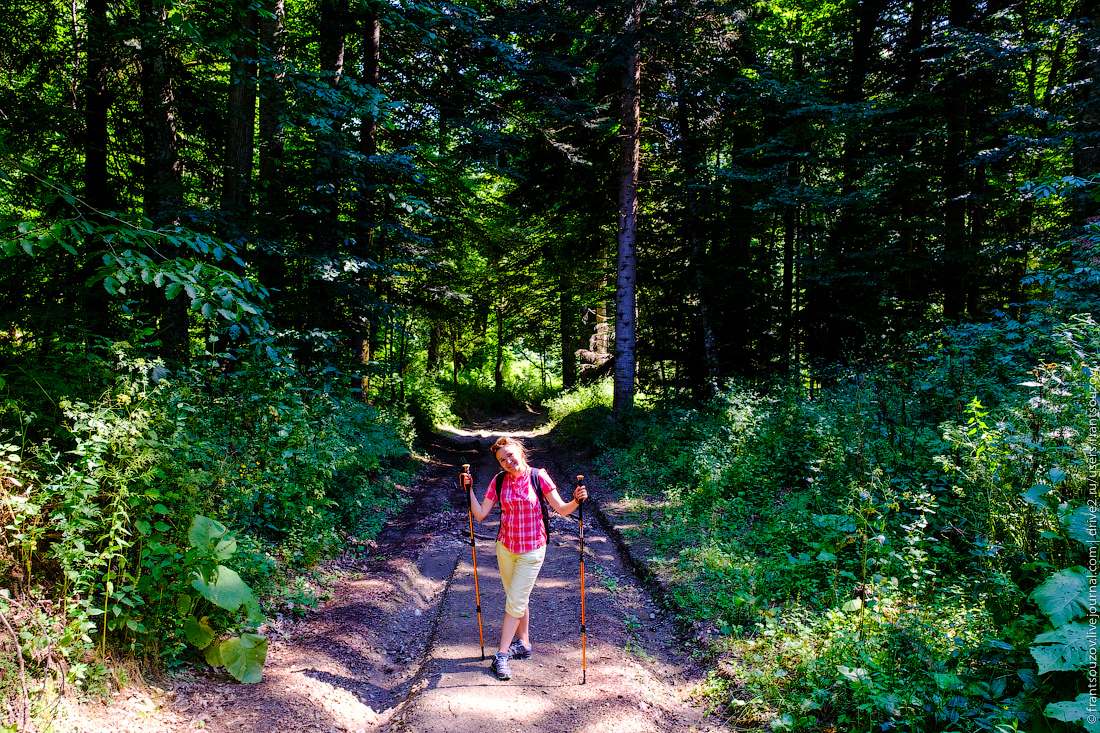 Ущелье Большой Лабы Ущелье Большой Лабы Абхазия
