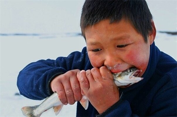 Сыроедение для народов крайнего севера, не дань модным ЗОЖ увлечениям, а суровая необходимость. Но благодаря такой диете зубы получают максимум необходимых минералов и остаются здоровыми. (фото из интернета)
