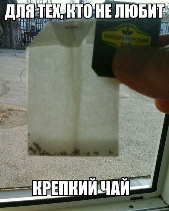 Социальный юмор Социальный юмор