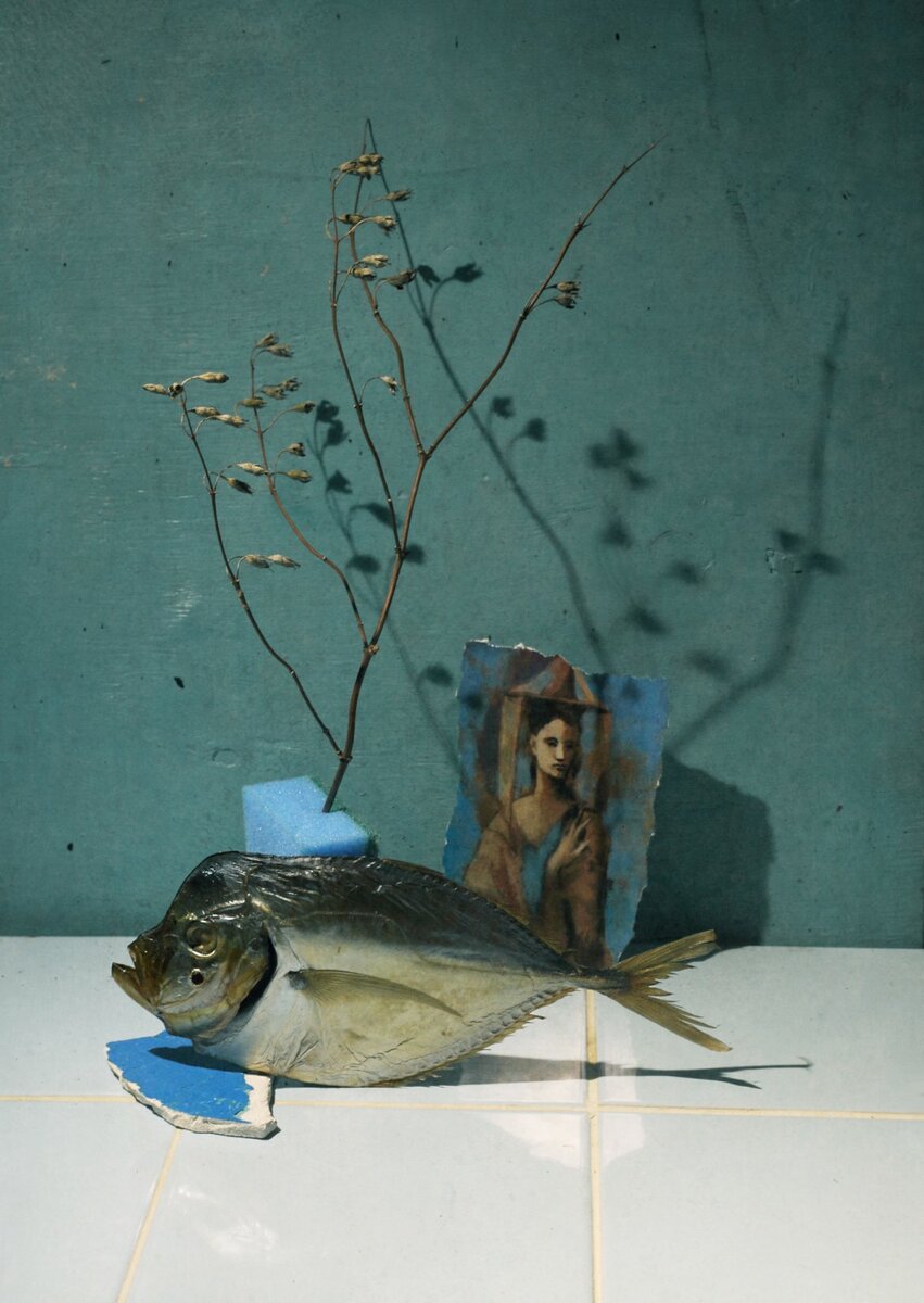 © Мария Сапего (Беларусь) «Рыбный стол».
Шорт-лист в категории «Предмет» | Sony World Photography Awards 2022