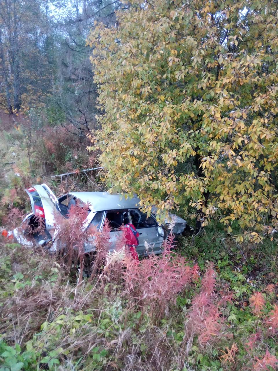 В Тверской области водитель бросил машину и раненого пассажира на месте ДТП