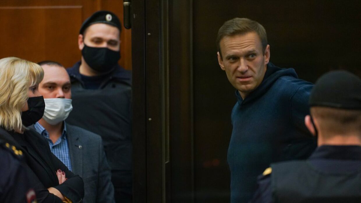 Amnesty проговорился о планах «переиграть» ситуацию с Навальным и «узником совести»