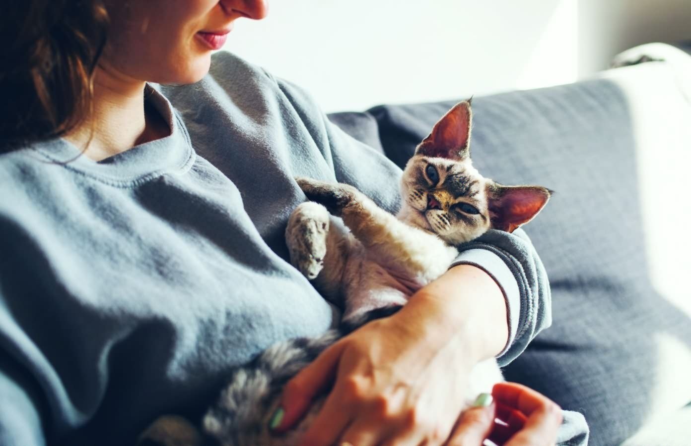Как дать кошке понять, что вы ее по-настоящему любите?