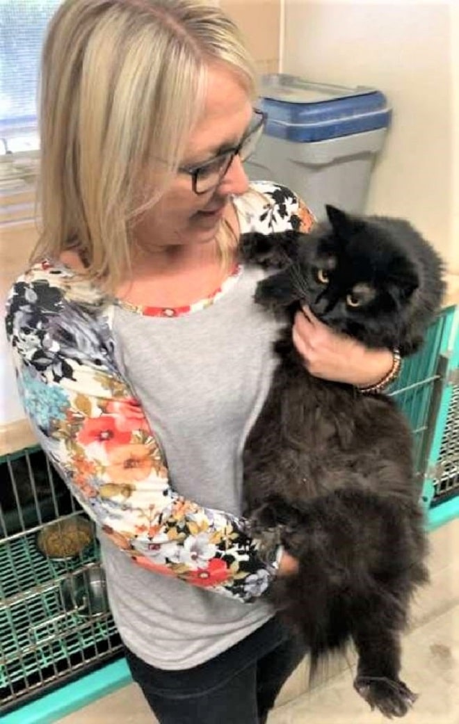 Кошка и женщина