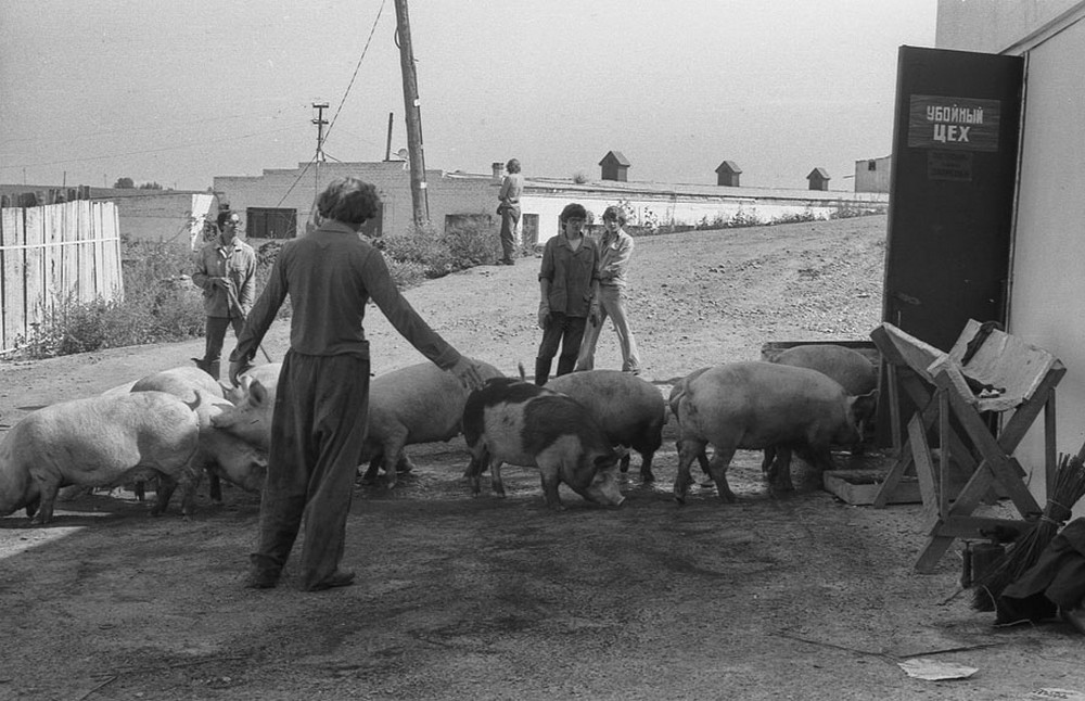 Социалистическая реальность в документальных фотографиях Владимира Воробьева 72