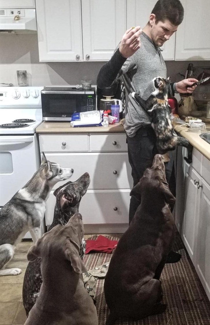 26 животных, чьи фото нужно смотреть два раза в день для настроения 26 животных, чьи фото нужно смотреть два раза в день для настроения животные