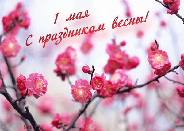 Красивые открытки «С 1 мая» для бабушек, дедушек, мам и пап — в общем, для всех можно, открытки, которые, бесплатно, открыток, Весны, теплее, попрежнему, весныСегодня, приход, ощутить, понастоящему, наконецто, температура, становится, воздуха, поздравлять, весну, только, чествует
