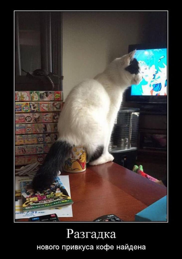 ������� ����� � ����