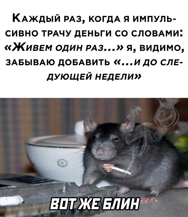 Смех - лучшее лекарство 