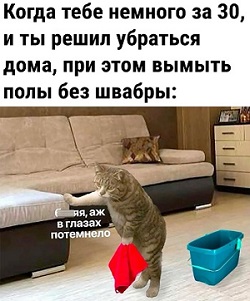 Незаконченная диссертация о котах... никогда, всегда, посмотрел, сказала, торжественно, законченаКот, будет, потому, диссертацию, защитить, котах, гадость»На, какая, ванной, задремал, надоЧеловек, Когда, раковине, уснул, когда