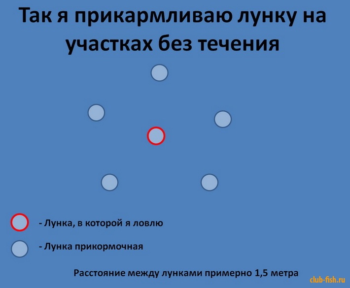 Прикормка рыбы зимой на водоемах без течения.
