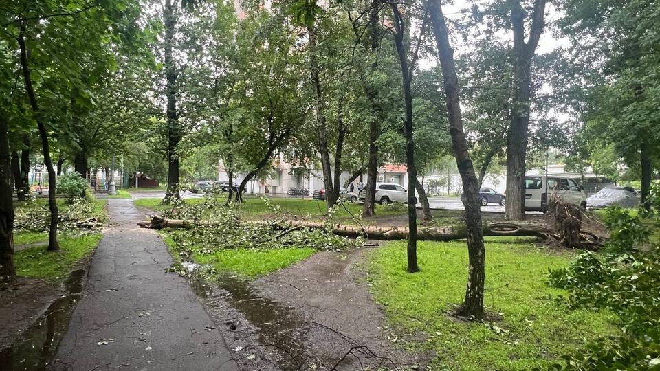 Москву накрыли мегаливень и ураган 