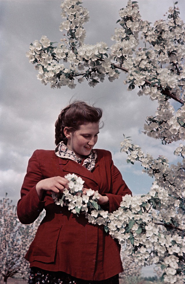1950-е в цветных фотографиях 50-е года, фото, CCCP