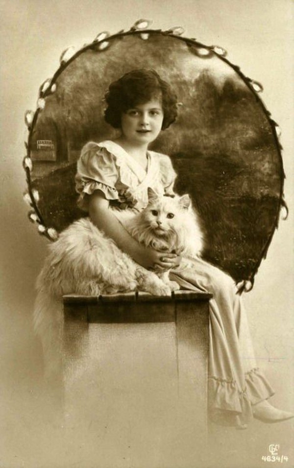 Фотография: Очаровательные винтажные кошки, которые докажут, что коты правили миром во все времена №27 - BigPicture.ru