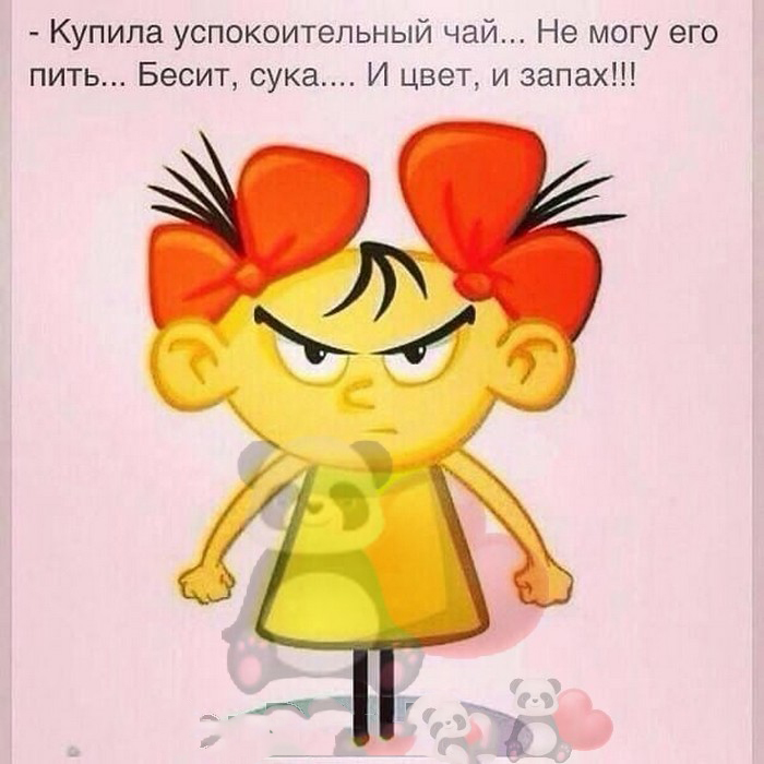 Лучшая подборка из 15 искрометных и веселых историй для отличного настроения Лучшая подборка из 15 искрометных и веселых историй для отличного настроения