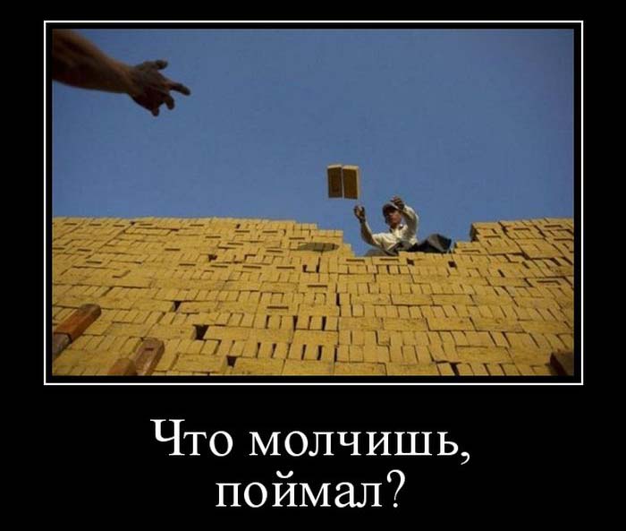 Демотиваторы для всех: «Хочется всего и сразу…» 