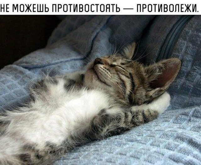 Социальный юмор Социальный юмор