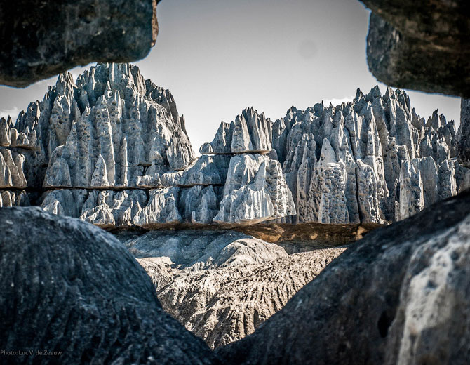 «Каменный лес» на Мадагаскаре (15 фото)