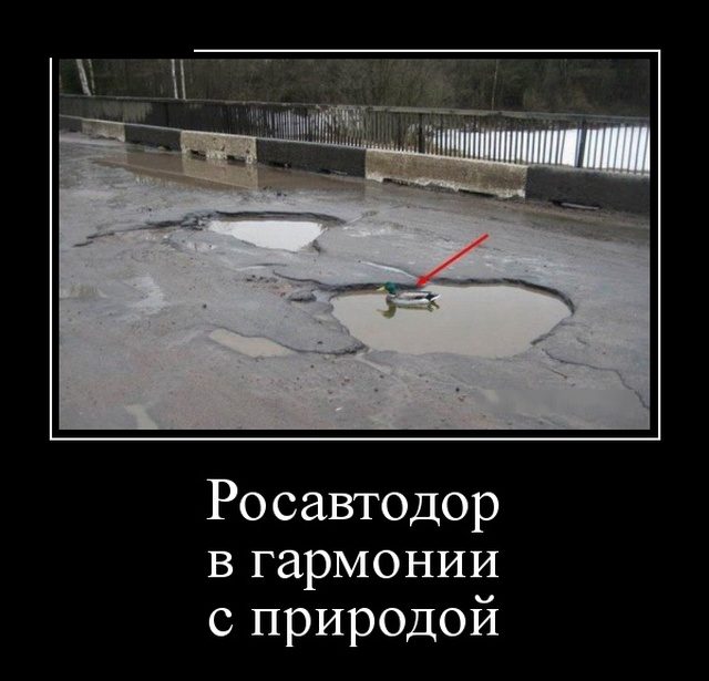 Демотиваторы дня. Классика жанра Демотиваторы дня. Классика жанра демотиваторы