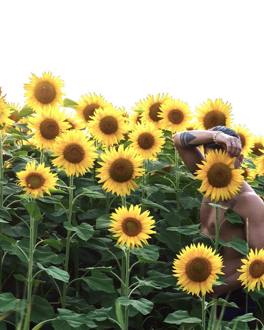 Популярный Instagram-аккаунт «Boys with Plants», где полуголые мужчины позируют с растениями 